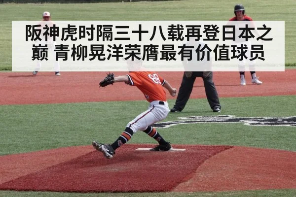 阪神虎时隔三十八载再登日本之巅 青柳晃洋荣膺最有价值球员