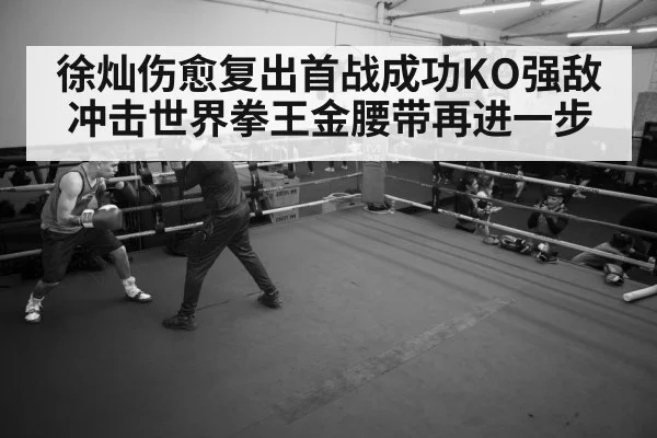 徐灿伤愈复出首战成功KO强敌 冲击世界拳王金腰带再进一步