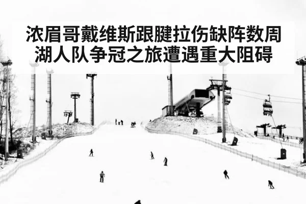 浓眉哥戴维斯跟腱拉伤缺阵数周 湖人队争冠之旅遭遇重大阻碍